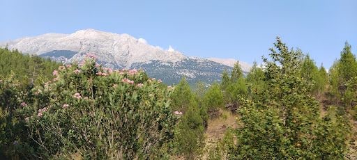 Fotoğraf 16