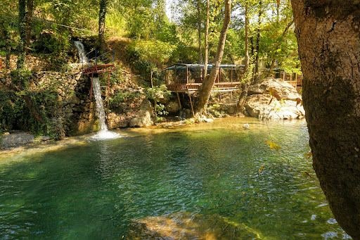 Yorum fotoğrafı 4