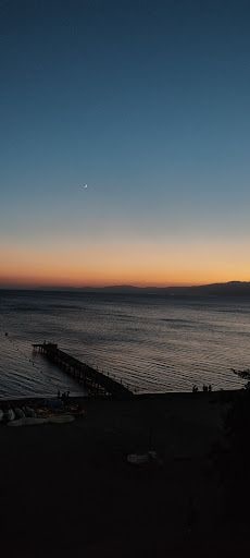 Fotoğraf 15