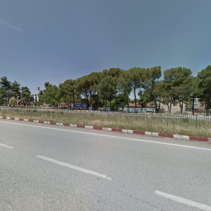 Fotoğraf 7