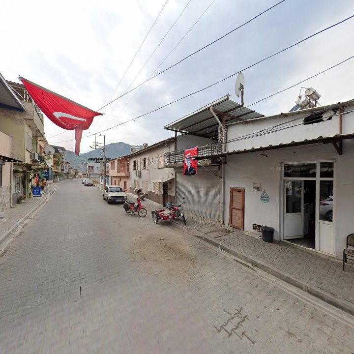 Fotoğraf 9