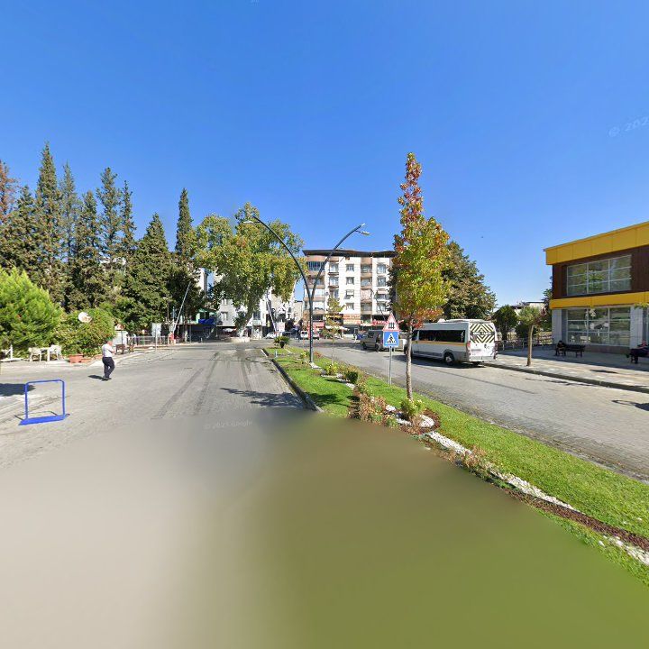 Fotoğraf 11