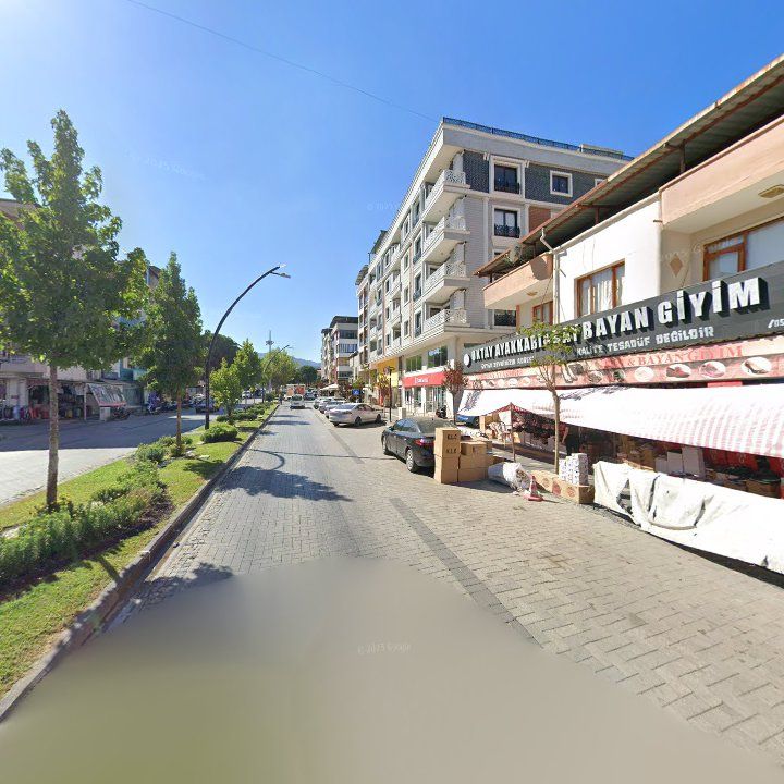 Fotoğraf 13