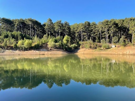 Fotoğraf 19
