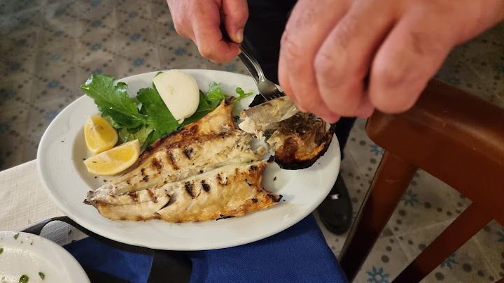 Fotoğraf 43