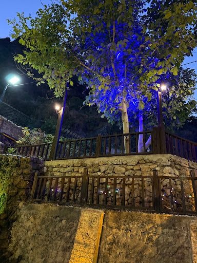 Yorum fotoğrafı 7