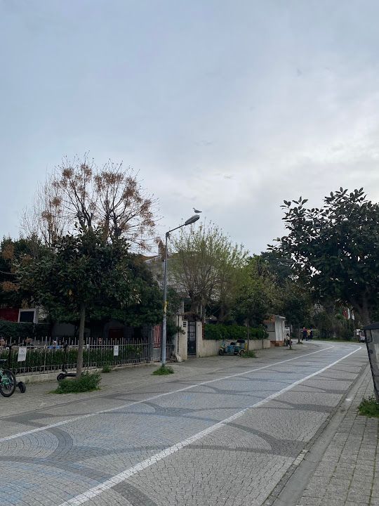 Fotoğraf 64