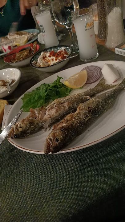Fotoğraf 30
