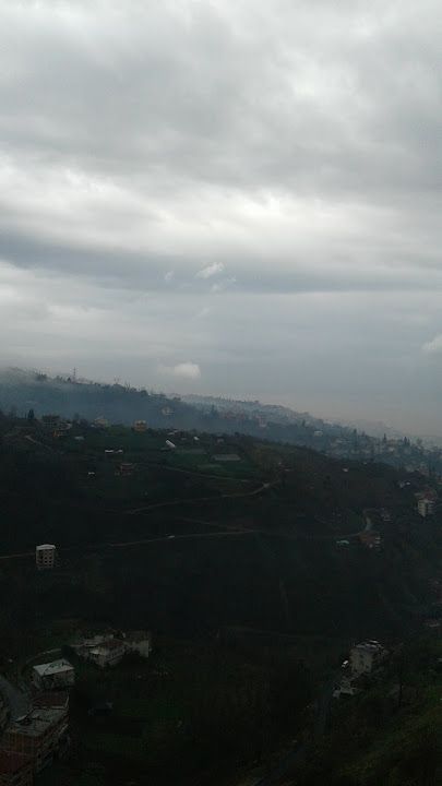 Gonca Taş Firini