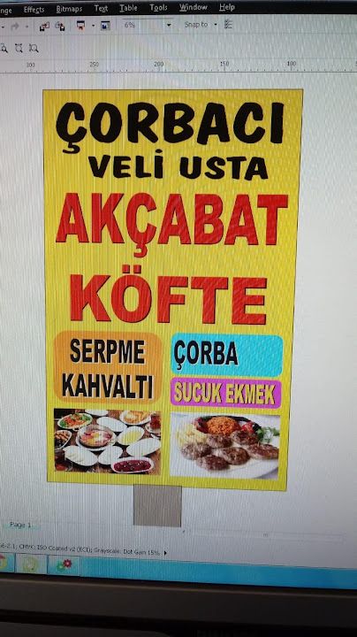 Fotoğraf 15