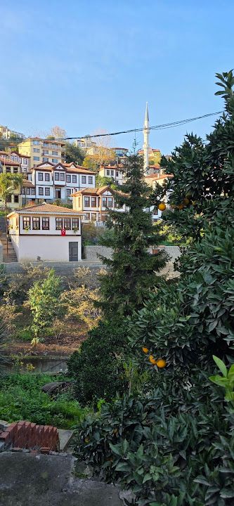 Fotoğraf 2