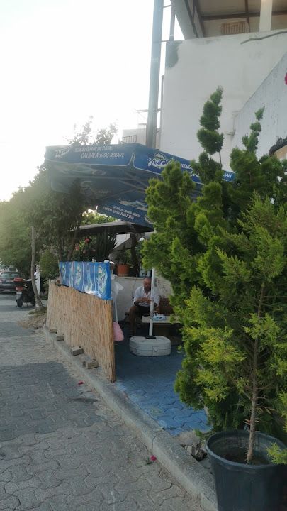 Yorum fotoğrafı 2