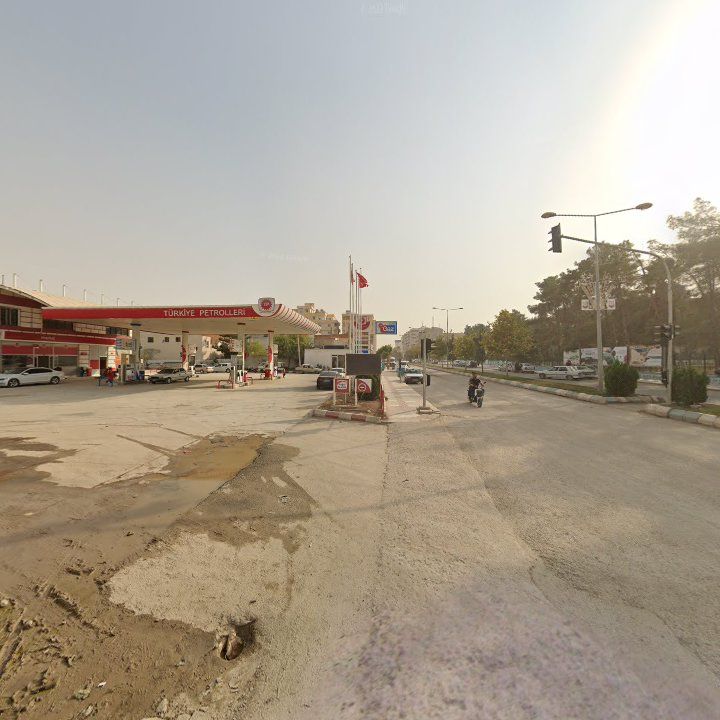 Fotoğraf 8