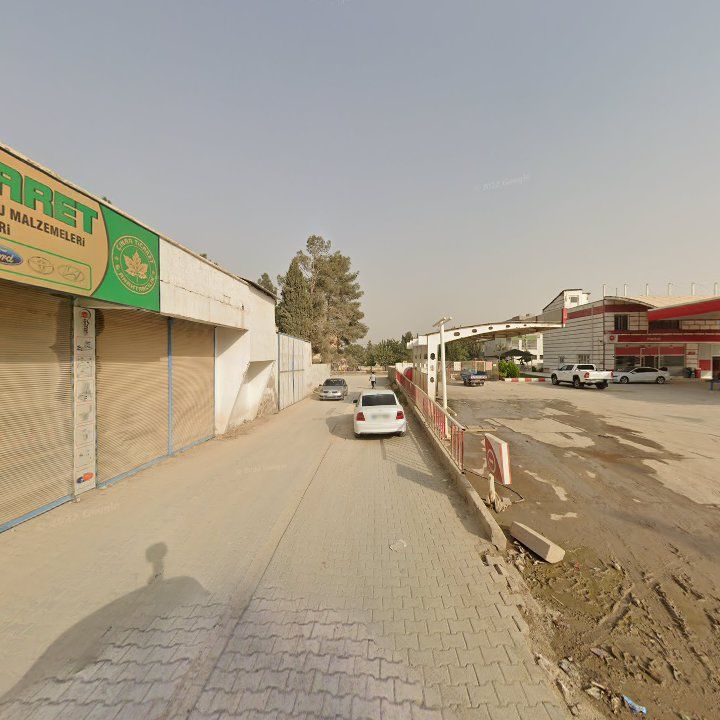Fotoğraf 7