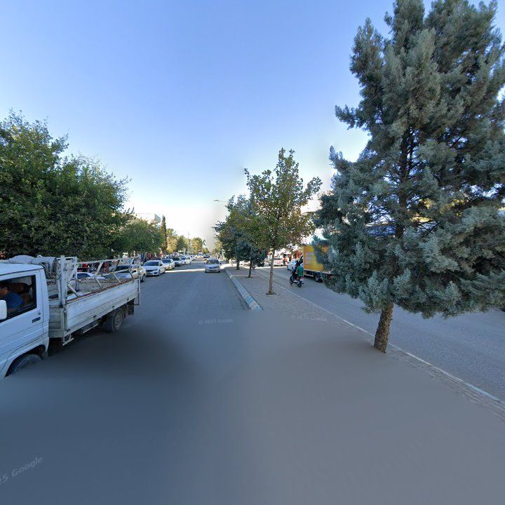Fotoğraf 10