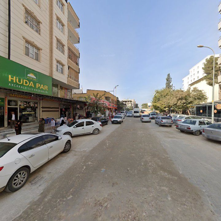 Fotoğraf 7