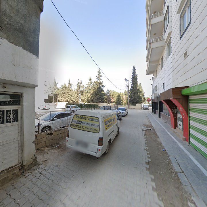 Fotoğraf 7