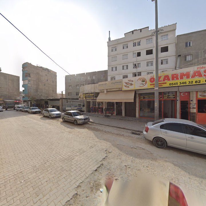 Fotoğraf 8
