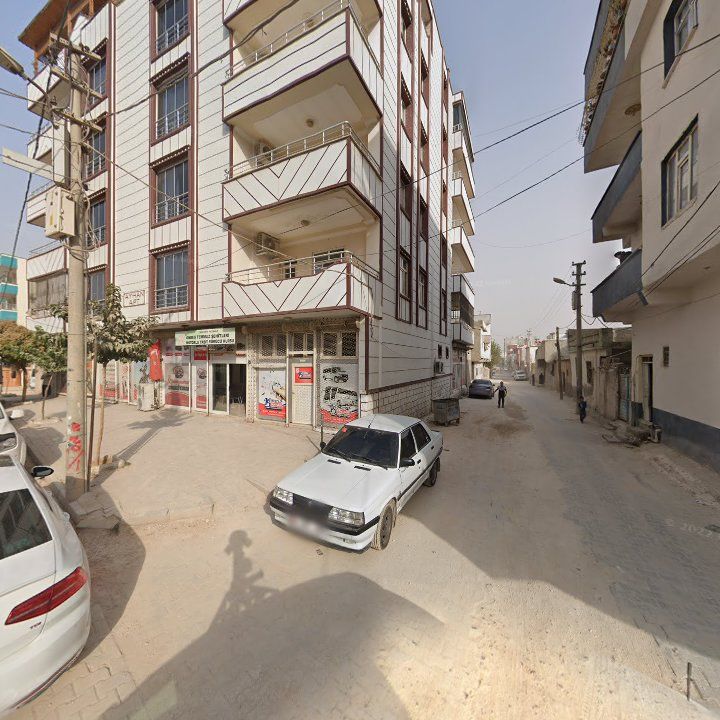 Fotoğraf 10