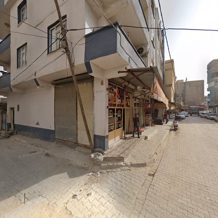 Fotoğraf 7
