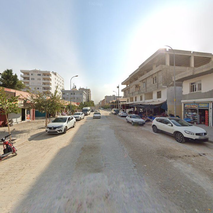 Fotoğraf 5