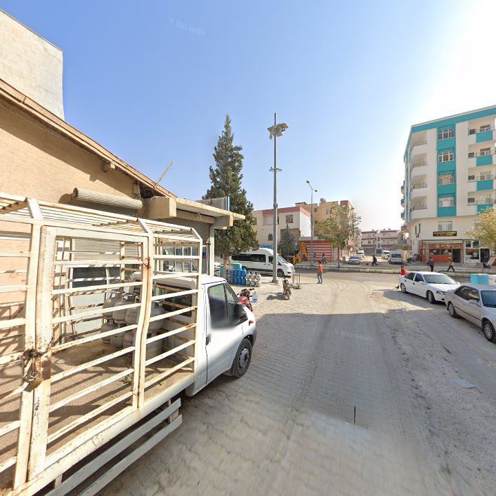 Fotoğraf 8