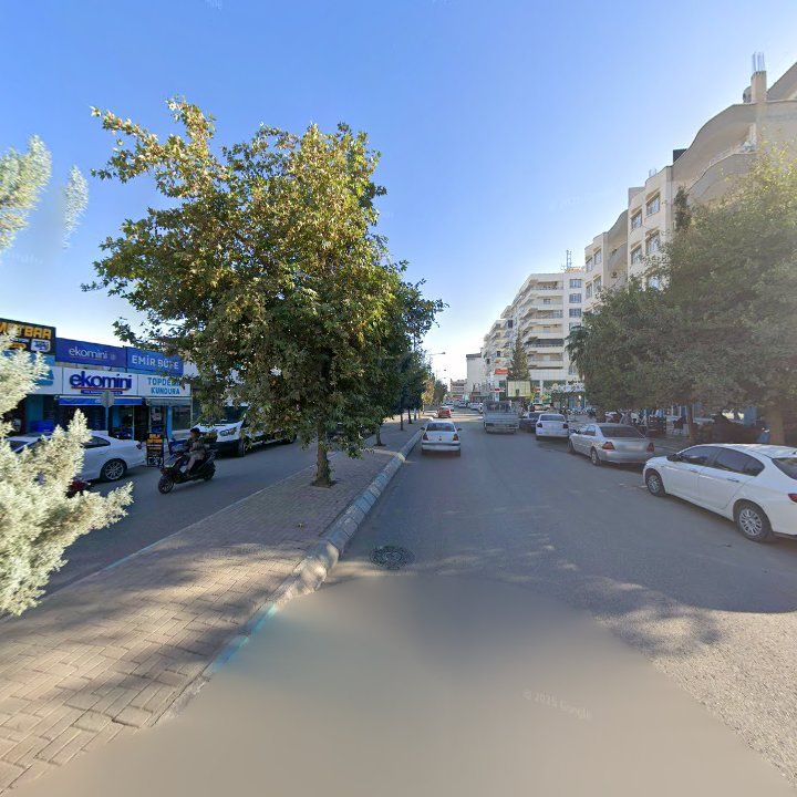 Fotoğraf 9