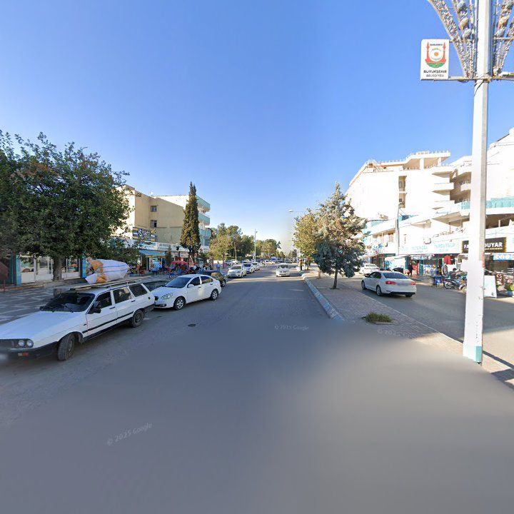 Fotoğraf 11
