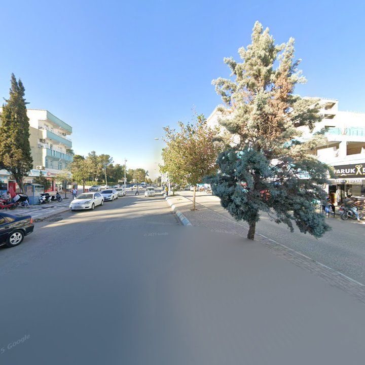 Fotoğraf 8