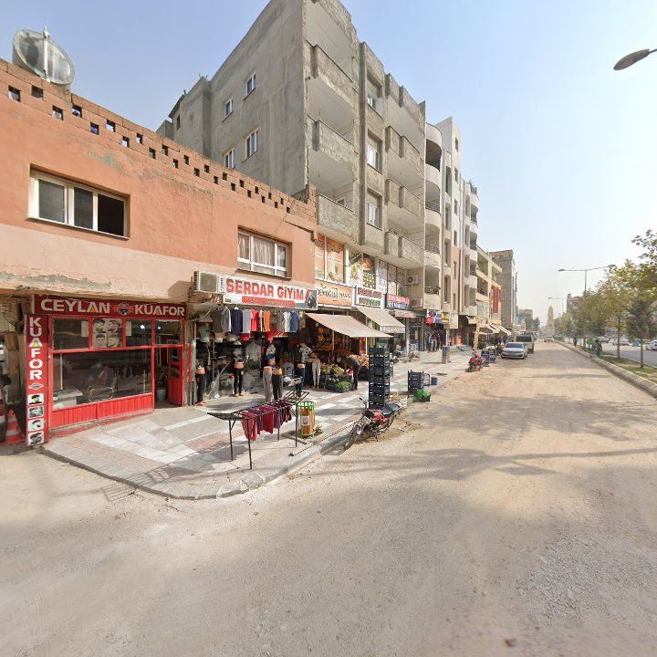 Fotoğraf 9