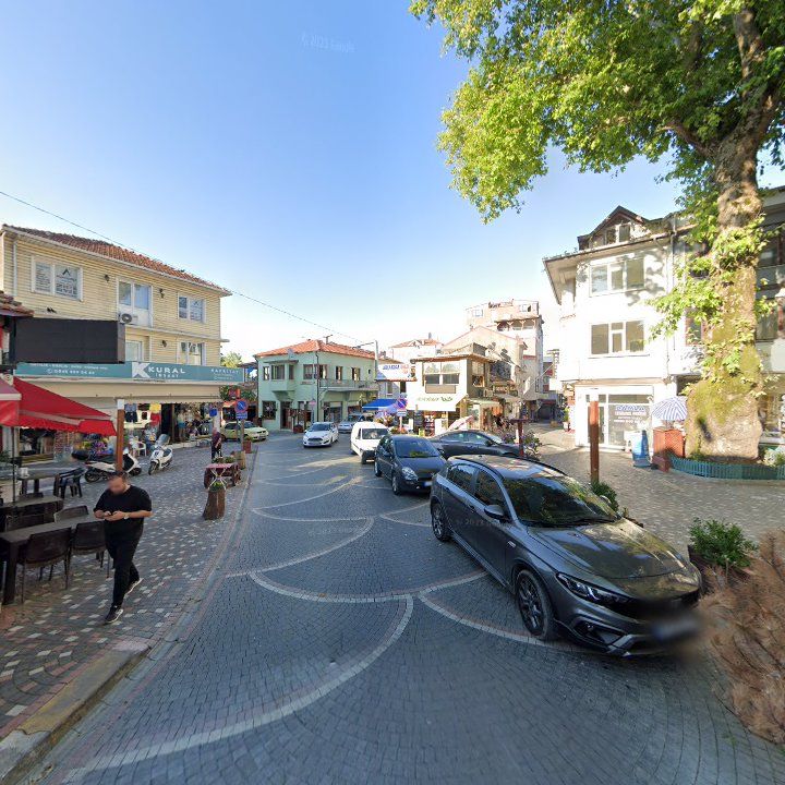 Fotoğraf 11