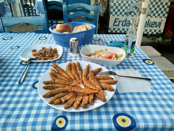 Fotoğraf 43