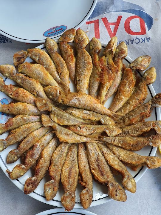 Fotoğraf 39