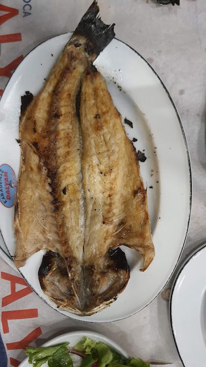 Fotoğraf 33