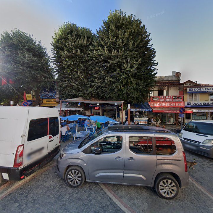Fotoğraf 7
