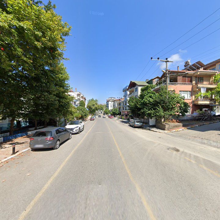 Fotoğraf 11