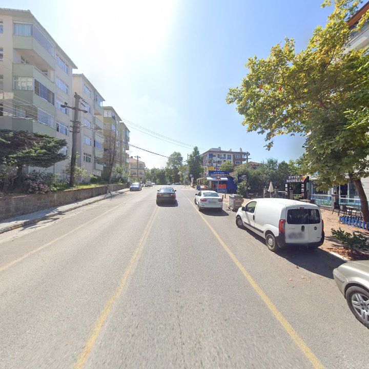 Fotoğraf 13