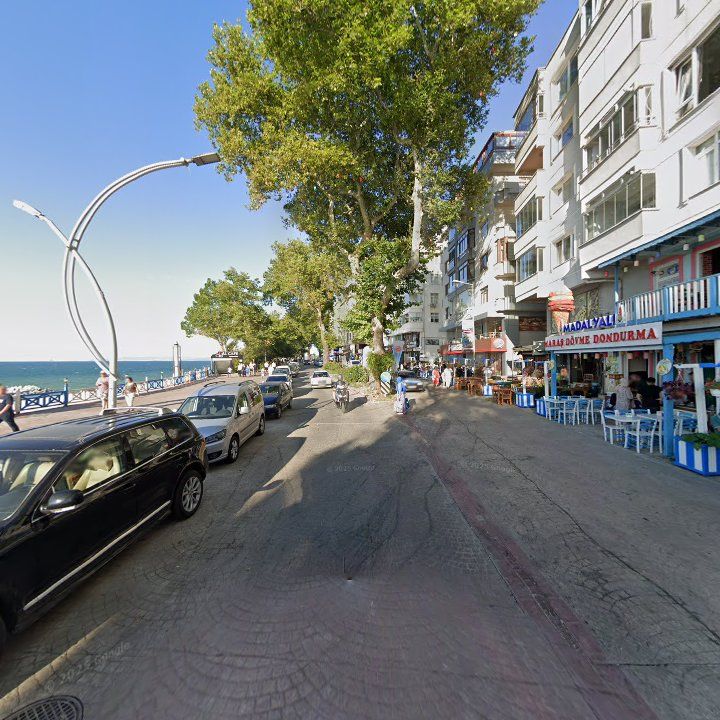 Fotoğraf 10