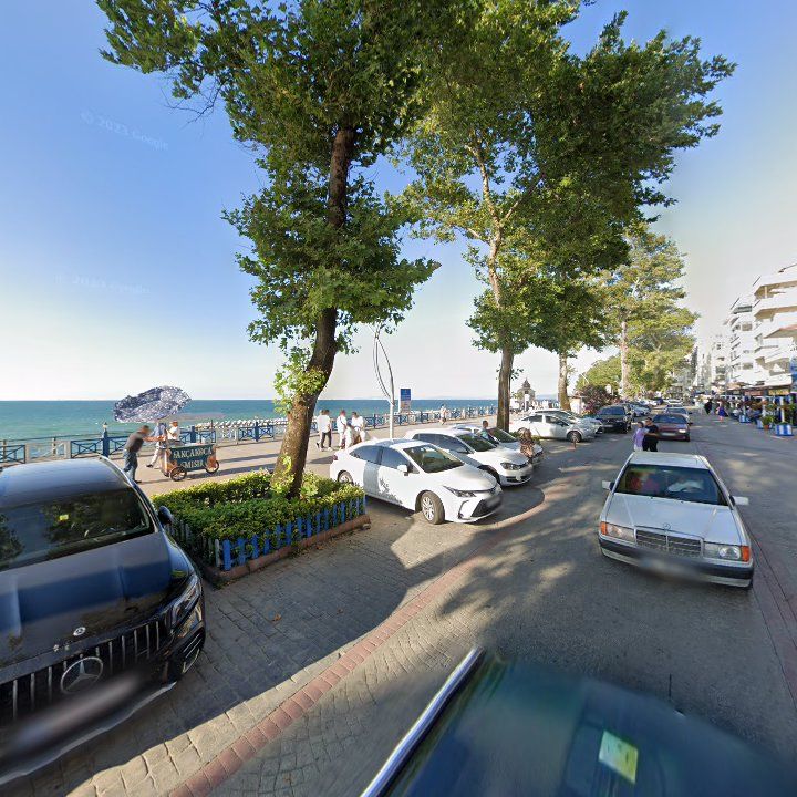 Fotoğraf 11