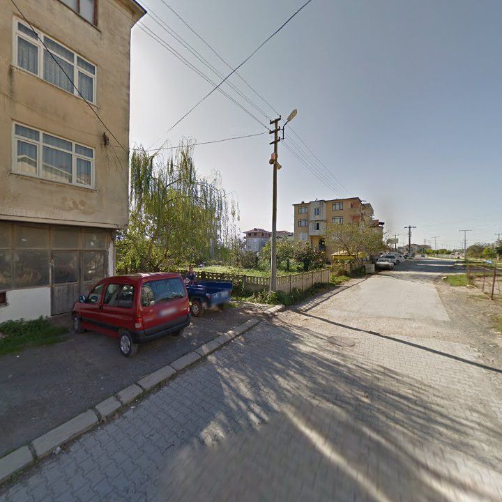 Fotoğraf 7