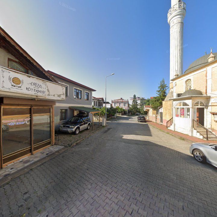 Fotoğraf 7