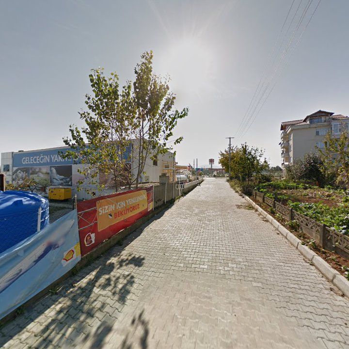 Fotoğraf 7