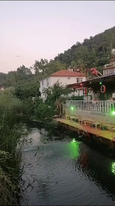 Fotoğraf 12