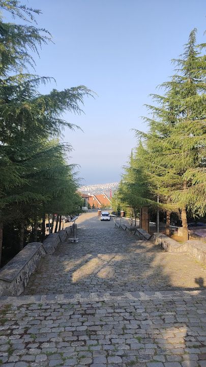 Yorum fotoğrafı 2