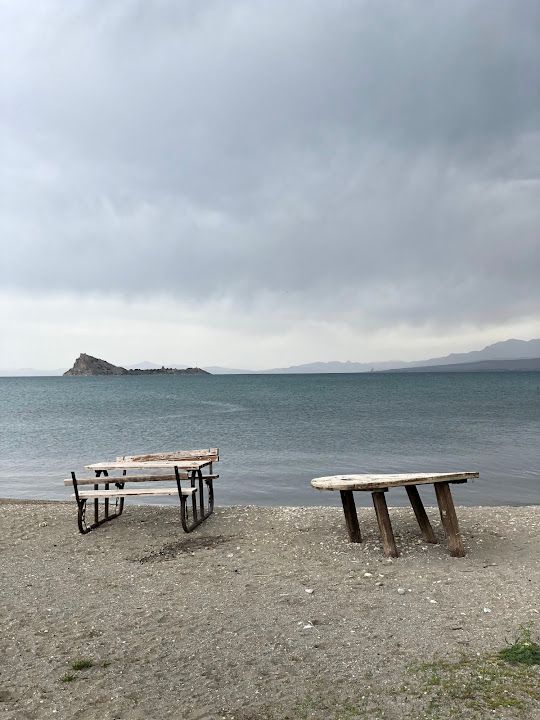 Fotoğraf 15