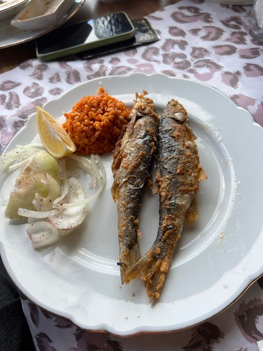 Fotoğraf 17