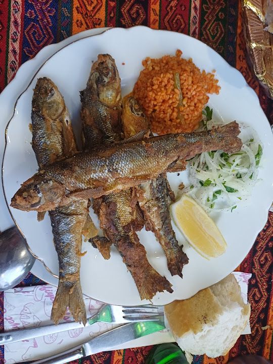 Yorum fotoğrafı 4