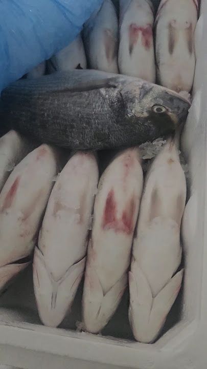 CAMUSFISH SU ÜRÜNLERİ