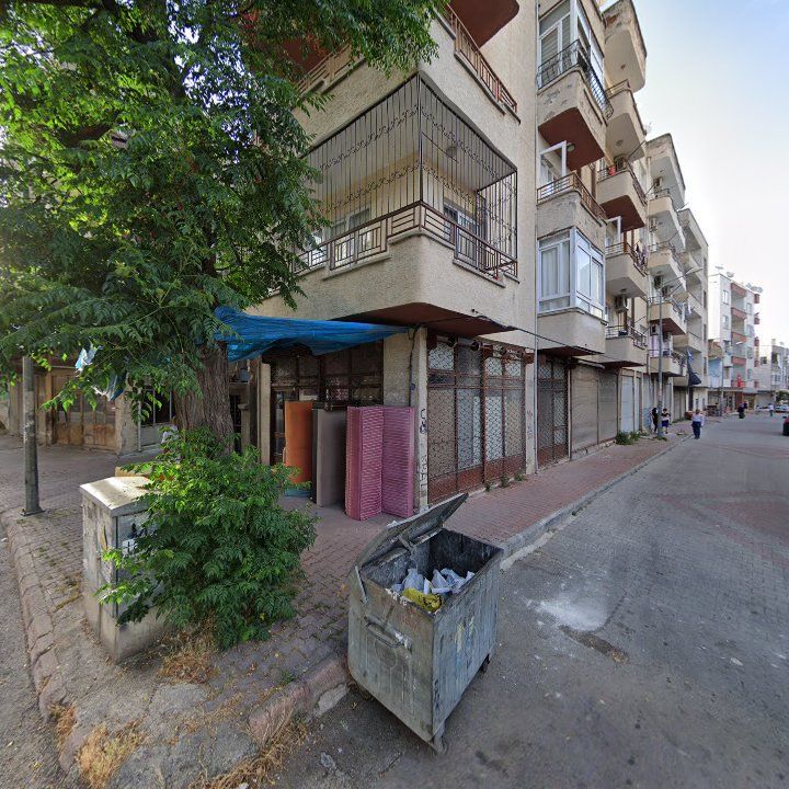 Fotoğraf 3