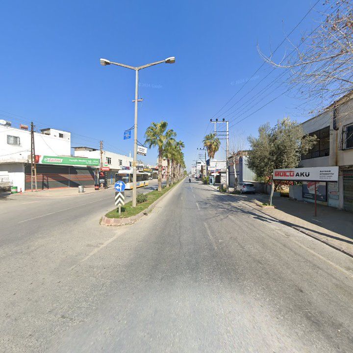 Fotoğraf 4